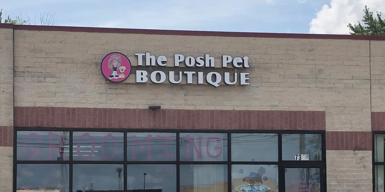 The Posh Pet Boutique Dog Clothes Dog Boutique